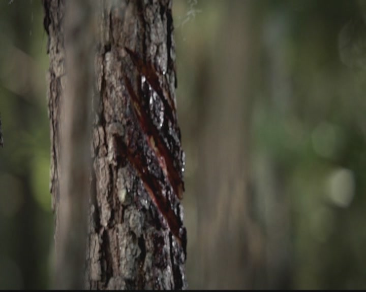 VampireDiariesWorld-dot-org_TheOriginals1x05SinnersAndSaints1146.jpg