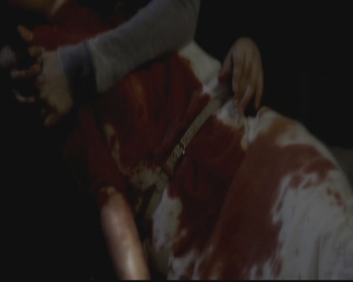 VampireDiariesWorld-dot-org_TheOriginals1x05SinnersAndSaints1448.jpg
