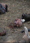 VampireDiariesWorld-dot-org_TheOriginals1x05SinnersAndSaints1130.jpg