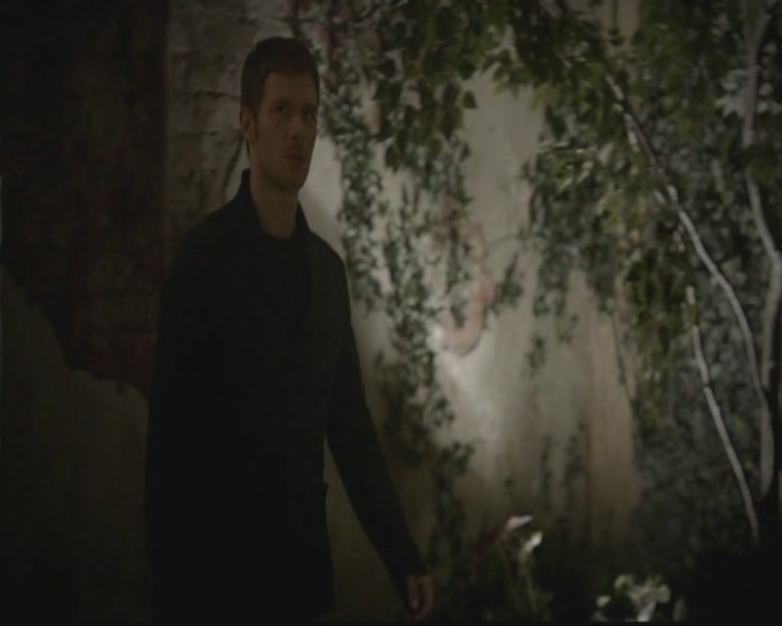 VampireDiariesWorld-dot-org_TheOriginals1x08TheRiverInReverse1125.jpg