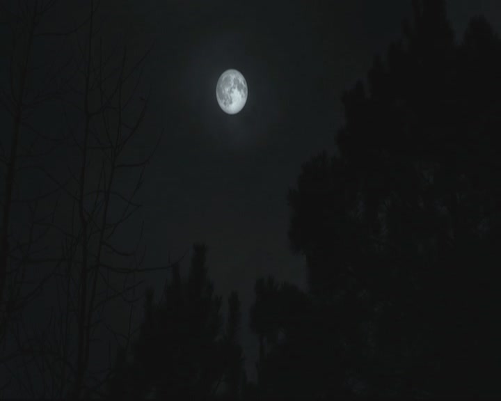 VampireDiariesWorld-dot-org_TheOriginals1x17MoonOverBourbonStreet0113.jpg