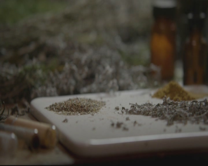 VampireDiariesWorld-dot-org_TheOriginals1x17MoonOverBourbonStreet0285.jpg