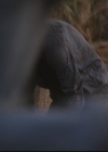 VampireDiariesWorld-dot-org_TheOriginals1x19AnUnblinkingDeath0892.jpg