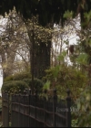 VampireDiariesWorld-dot-org_TheOriginals1x20ACloserWalkWithThee0183.jpg