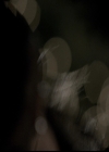 VampireDiariesWorld-dot-org_TheOriginals1x22FromACradleToAGrave1827.jpg