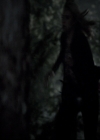 VampireDiariesWorld-dot-nl_TheOriginals-2x04LiveAndLetDie1955.jpg