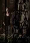 VampireDiariesWorld_dot_nl-TheOriginals_2x10GonnaSetYourFlagOnFire0307.jpg