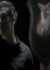 VampireDiariesWorld_dot_nl-TheOriginals_2x11BrotherhoodOfTheDamned0656.jpg