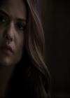 VampireDiariesWorld_dot_nl-TheOriginals_2x11BrotherhoodOfTheDamned0777.jpg