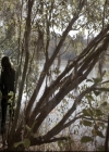 VampireDiariesWorld_dot_nl-TheOriginals_2x12Sanctuary0109.jpg