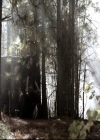 VampireDiariesWorld_dot_nl-TheOriginals_2x13TheDevilIsDamned1541.jpg