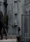 VampireDiariesWorld_dot_nl-TheOriginals_2x15TheyAllAskedForYou1420.jpg