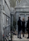 VampireDiariesWorld_dot_nl-TheOriginals_2x15TheyAllAskedForYou1610.jpg