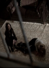 VampireDiariesWorld_dot_nl-TheOriginals_2x21FireWithFire1315.jpg