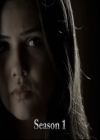 VampireDiariesWorld-dot-nl_TheOriginals-S3SanDiegoComicCon2014Panel0579.jpg