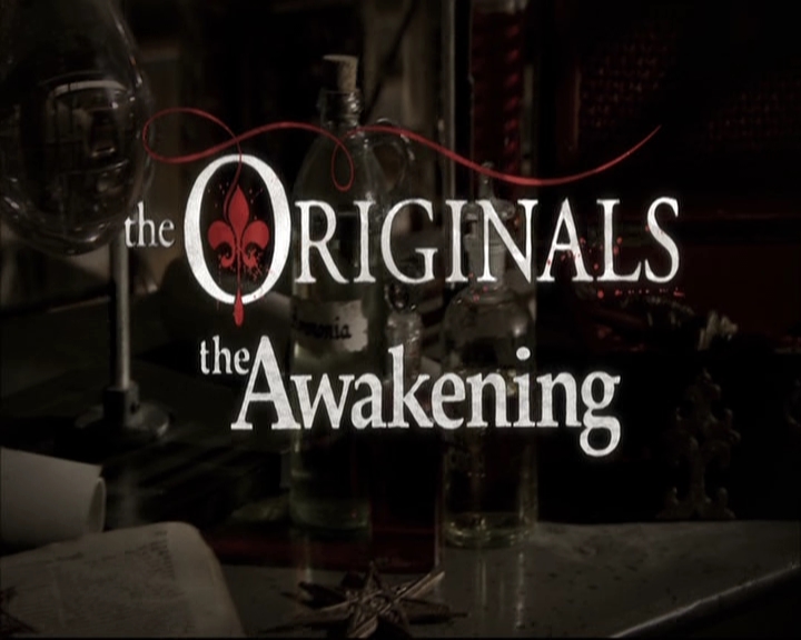 VampireDiariesWorld-dot-nl_TheOriginals-S3TheAwakeningsWebSeries-ChangeEverything0005.jpg