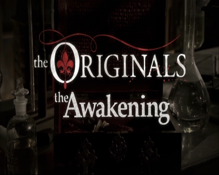 VampireDiariesWorld-dot-nl_TheOriginals-S3TheAwakeningsWebSeries-Slaughter0005.jpg