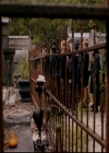 VampireDiariesWorld-dot-nl_TheOriginals_3x07OutOfTheEasy1310.jpg