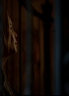 VampireDiariesWorld-dot-nl_TheOriginals_3x11WildAtHeart1371.jpg