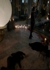 VampireDiariesWorld-dot-nl_TheOriginals_3x14AStreetcarNamedDesire1797.jpg