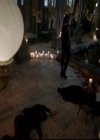 VampireDiariesWorld-dot-nl_TheOriginals_3x14AStreetcarNamedDesire1798.jpg