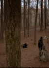 VampireDiariesWorld-dot-nl_TheOriginals_3x17BehindTheBlackHorizon0458.jpg