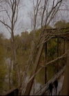 VampireDiariesWorld-dot-nl_TheOriginals_3x21GiveEmHellKid1013.jpg