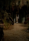 VampireDiaries-dot-nl_TheOriginals4x01GatherUpTheKillers0117.jpg