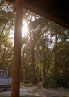 VampireDiaries-dot-nl_TheOriginals4x01GatherUpTheKillers0338.jpg