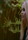 VampireDiaries-dot-nl_TheOriginals4x02NoQuarter1822.jpg