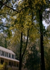 VampireDiaries-dot-nl_TheOriginals4x03HaunterOfRuins0601.jpg