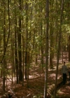 VampireDiaries-dot-nl_TheOriginals4x03HaunterOfRuins0949.jpg