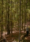 VampireDiaries-dot-nl_TheOriginals4x03HaunterOfRuins0950.jpg