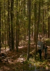 VampireDiaries-dot-nl_TheOriginals4x03HaunterOfRuins0958.jpg