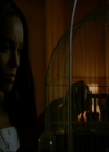 VampireDiaries-dot-nl_TheOriginals4x03HaunterOfRuins1244.jpg