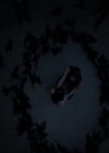 VampireDiaries-dot-nl_TheOriginals4x04KeepersOfTheHouse0236.jpg