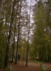 VampireDiaries-dot-nl_TheOriginals4x04KeepersOfTheHouse1401.jpg