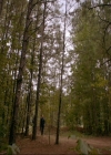 VampireDiaries-dot-nl_TheOriginals4x04KeepersOfTheHouse1402.jpg