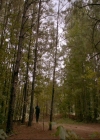 VampireDiaries-dot-nl_TheOriginals4x04KeepersOfTheHouse1403.jpg