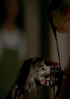 VampireDiaries-dot-nl_TheOriginals4x05IHearYouKnocking0880.jpg