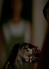 VampireDiaries-dot-nl_TheOriginals4x05IHearYouKnocking0881.jpg