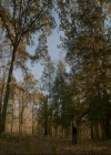 VampireDiaries-dot-nl_TheOriginals4x09QueenDeath0084.jpg