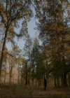 VampireDiaries-dot-nl_TheOriginals4x09QueenDeath0085.jpg