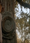 VampireDiaries-dot-nl_TheOriginals4x09QueenDeath0113.jpg