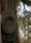 VampireDiaries-dot-nl_TheOriginals4x09QueenDeath0114.jpg