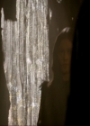 VampireDiariesWorld-dot-nl_TheOriginals4x11ASpiritThereThatWontBeBroken0832.jpg