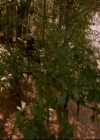 vampirediariesworld-dot-nl_TheOriginals5x07GodsGonnaTroubleTheWater01440.jpg