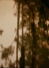 vampirediariesworld-dot-nl_TheOriginals5x07GodsGonnaTroubleTheWater01816.jpg
