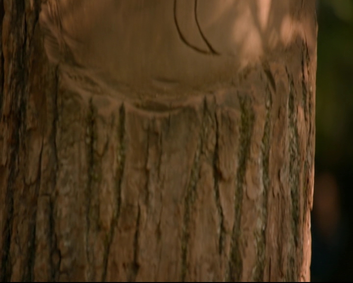 vampirediariesworld-dot-nl_TheOriginals5x07GodsGonnaTroubleTheWater01449.jpg vampirediariesworld-dot-nl_TheOriginals5x07GodsGonnaTroubleTheWater01449.jpg