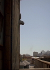 vampirediariesworld-dot-nl_TheOriginals5x10ThereInTheDisappearingLight00468.jpg